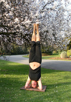 Iwona head stand